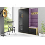 Predsieňová stena AMI 11 Fialová So zrkadlom Dub artisan/čierna