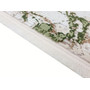 Koberec EXCLUSIVE 193 cream green 80x150 cm - galéria #3